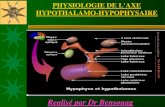 PHYSIOLOGIE DE L'AXE HYPOTHALAMO-HYPOPHYSAIRE