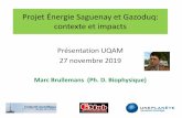 Projet Énergie Saguenay et Gazoduq: contexte et impacts