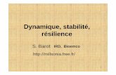 Dynamique, stabilité, résilience