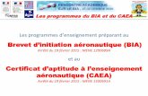 Brevet d’initiation aéronautique (BIA)