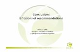 Conclusions réflexions et recommandations