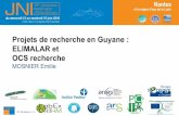 Projets de recherche en Guyane : ELIMALAR et OCS recherche