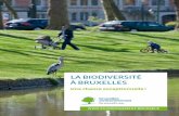 La biodiversité à Bruxelles