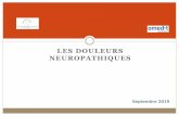 LES DOULEURS NEUROPATHIQUES - OMeDIT Normandie