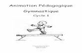 Animation Pédagogique Gymnastique