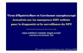 Virus d’Epstein-Barr et Carcinome nasopharyngé Actualités ...