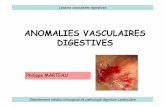 Anomalies vasculaires digestives et hémorragies
