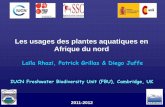 Les usages des plantes aquatiques en Afrique du nord
