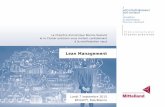 Lean Management - WIBS