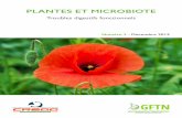 PLANTES ET MICROBIOTE - CREGG