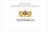 Royaume du Maroc Chef du Gouvernement Ministère délégué ...