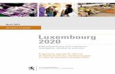 Rapport Lux 2020 2013 - gouvernement
