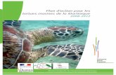 Plan d’action pour les tortues marines de la Martinique