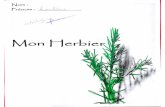 Herbier CP/CE1