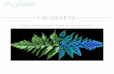 HERBIER - design-aglae.com