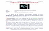 Entretien DUCATI Document PDF sur «réglage desmo » Janvier ...