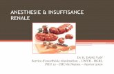 ANESTHESIE & INSUFFISANCE RENALE