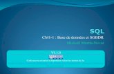 CM1-1 : Base de données et SGBDR Mickaël Martin-Nevot
