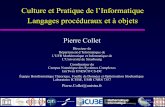 Culture et Pratique de l’Informatique Langages procéduraux ...
