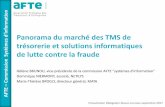 Panorama du marché des TMS de trésorerie et solutions ...