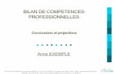 BILAN DE COMPETENCES PROFESSIONNELLES