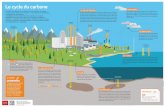 Le cycle du carbone - CEA - Accueil