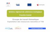 Schéma régional de cohérence écologique Franche-Comté