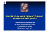 ESCHERICHIA COLI PRODUCTEURS DE SHIGA-TOXINES (STEC)