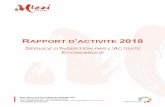 RAPPORT D ACTIVITE 2018 - MLEZI MAORE