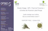 Etude dimage : IGP « Thym de Provence » & herbes de ...