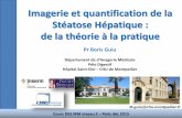 Imagerie et quantification de la Stéatose Hépatique : de ...