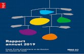 Rapport annuel 2019 - HEIG-VD
