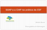 SOAP e a CIAP na prática da ESF - ASSIS SP