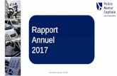 Rapport Annuel 2017 - Police