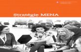 Stratégie MENA 2021–2024 - Federal Council