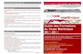 Guide des Formations - cnam-martinique.fr