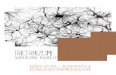 TRIO RHIZOME - jazzsra.fr