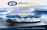 TELCOMAT - Solutions pour les réseaux de transport et ...