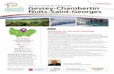 Gevrey-Chambertin Nuits-saint-Georges