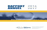 RAPPORT 2016 ANNUEL 2017 - RRISIQ