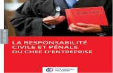 Guide Responsabilité civile et pénale du chef d'entreprise ...