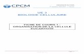 UE 3 BIOLOGIE CELLULAIRE - prepa-cpcm.com