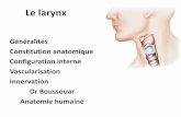 Le larynx - univ-setif.dz