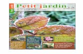 Magazine Petit Jardin - graines-et-plantes.com