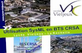 BTS CRSA - eduscol.education.fr