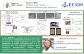 Equipe SIRCM Surfaces et Interfaces : Réactivité Chimique ...