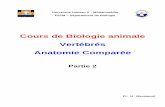 Cours de Biologie animale Vertébrés Anatomie Comparée