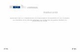 RAPPORT DE LA COMMISSION AU PARLEMENT EUROPÉEN …