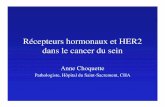 Récepteurs hormonaux et HER2 dans le cancer du sein