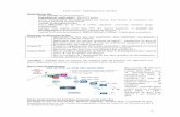 petite protéine G maladie du - L2 BICHAT 2017-2018